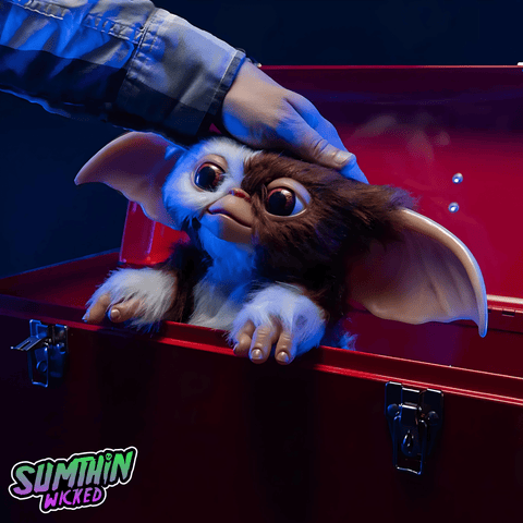 Gizmo - Gremlins 2: The New Batch - Mogwai Prop - Trick Or Treat Studios - Goblin Wood